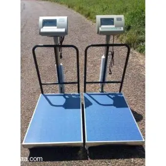 +256745949914 Heavy Duty Platform Balance weighing scales in Kampala Uganda - 2