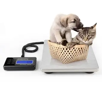 +256745949914  simple operation stainless steal table top scale in Kampala Uganda