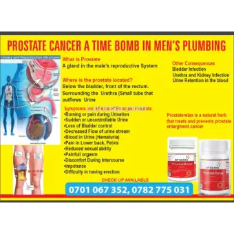 Prostate BPH / Cancer  Check up