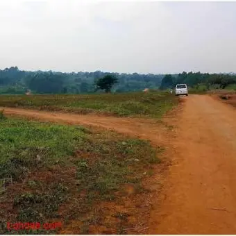 50*100 Residential Plots in Kakiri Mwera Estate - 3