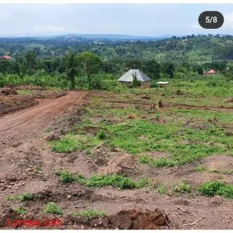 50*100 Residential Plots in Kakiri Mwera Estate - 4