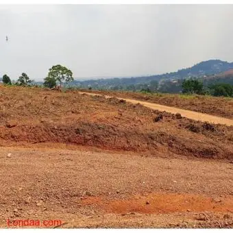 50*100 Plots of Residential Land in Wakiso Kona III Estate - 4