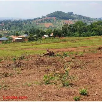 50*100 Plots of Residential Land in Wakiso Kona III Estate - 3