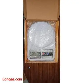 PORTABLE DIGITAL SCALE (10kg) - 2