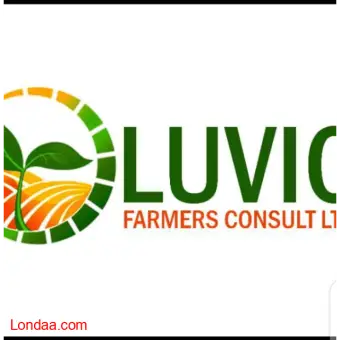 Luvio farmers'consult