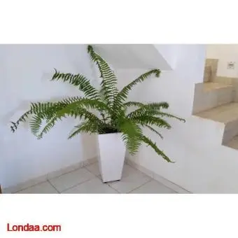 Ceramic Tile Flower Pots/Planters/Kampala - 2