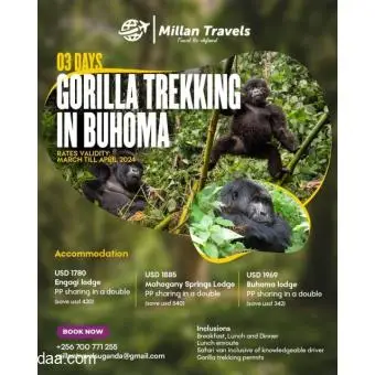 Gorilla Trekking in Buhoma