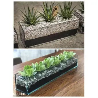 Ultra-Glass Planters/Flower Pots - 4